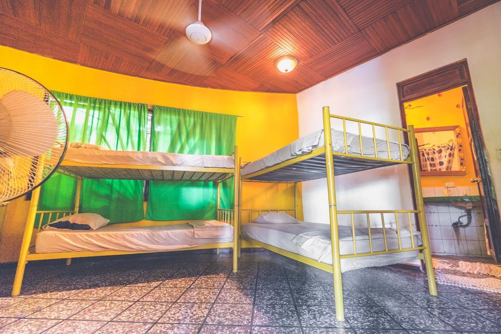 Pura Vida Hostel ตามารินโด ภายนอก รูปภาพ