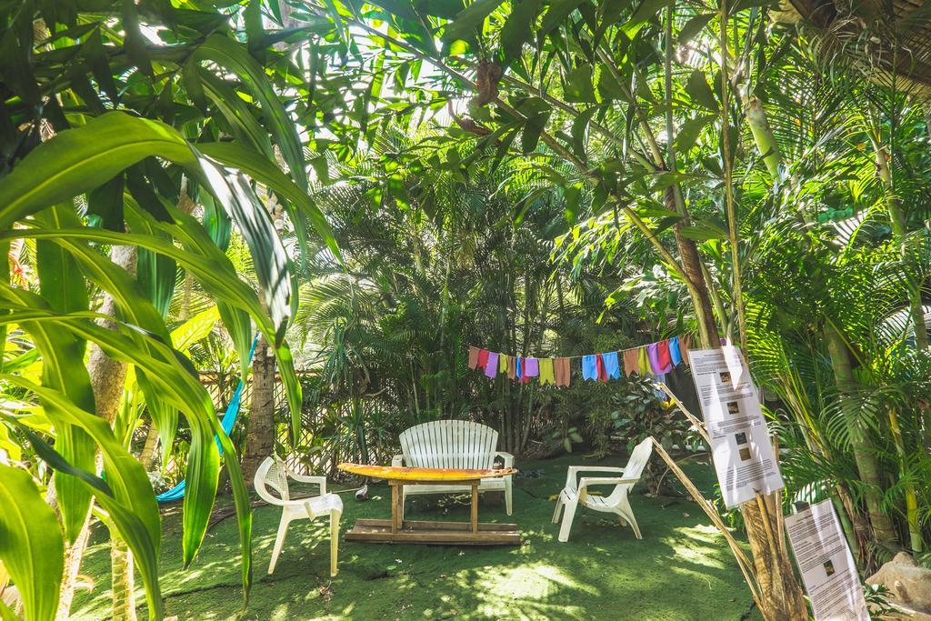 Pura Vida Hostel ตามารินโด ภายนอก รูปภาพ