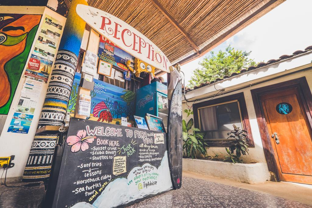 Pura Vida Hostel ตามารินโด ภายนอก รูปภาพ