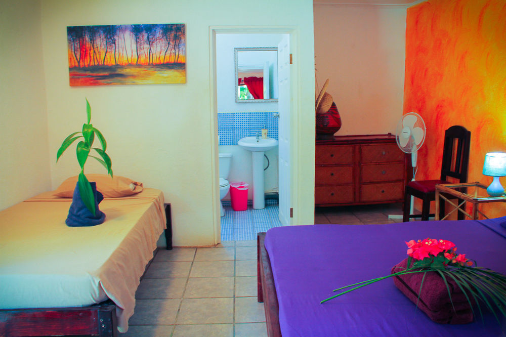 Pura Vida Hostel ตามารินโด ภายนอก รูปภาพ